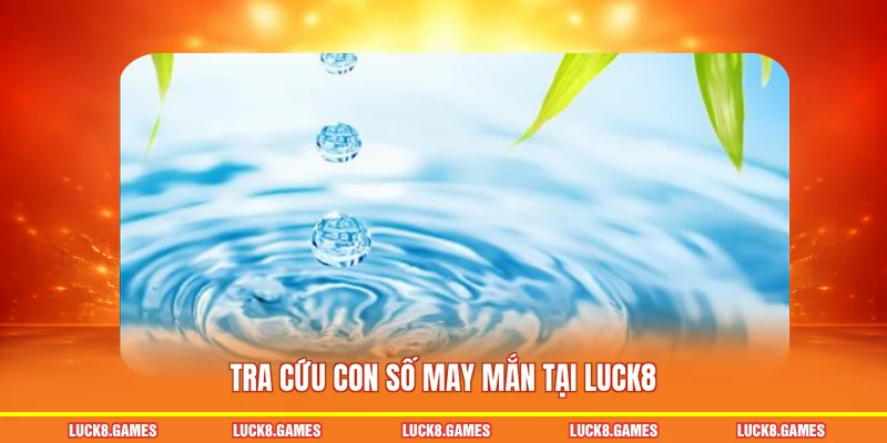 Tra cứu con số may mắn tại LUCK8